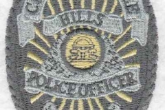 chattahoochee-hills-pol-badge