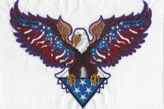 americas-guardians-eagle