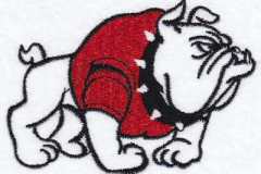 Mascots