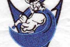 center-HS-viking