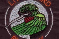 little-bird-big-beak